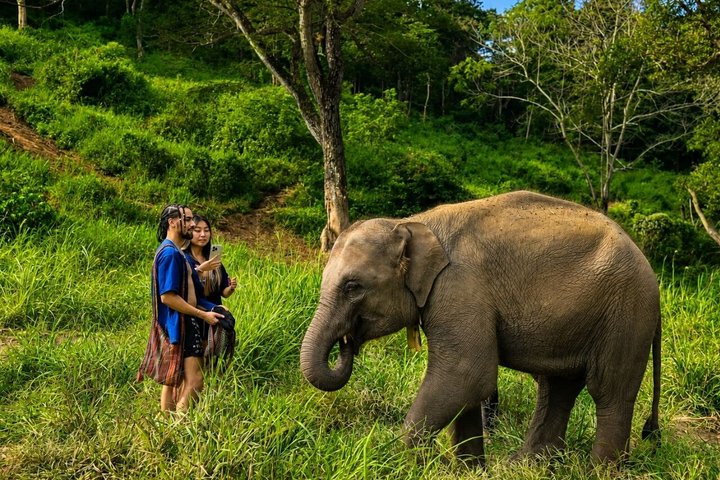 3-in-1: Doi Inthanon Tour, Elephant Sanctuary, and Trekking Trail