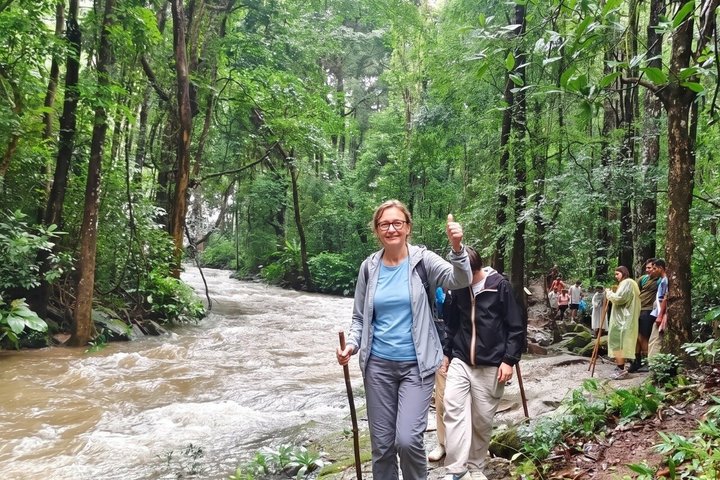 3-in-1: Doi Inthanon Tour, Elephant Sanctuary, and Trekking Trail