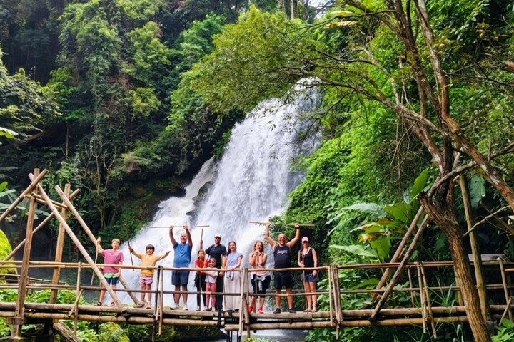 3-in-1: Doi Inthanon Tour, Elephant Sanctuary, and Trekking Trail