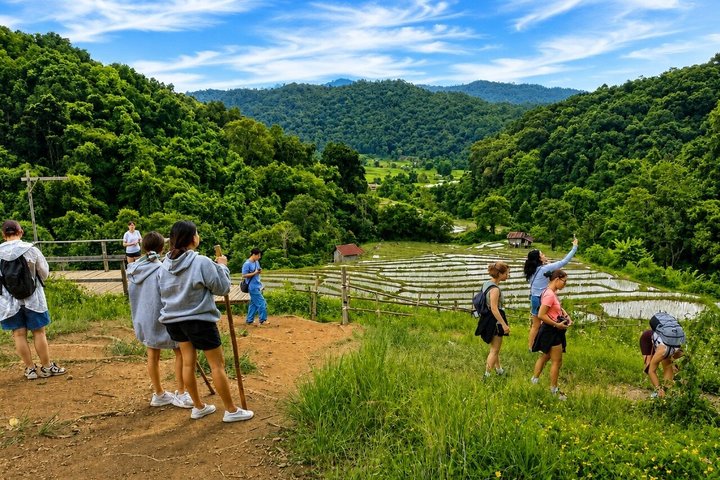 3-in-1: Doi Inthanon Tour, Elephant Sanctuary, and Trekking Trail