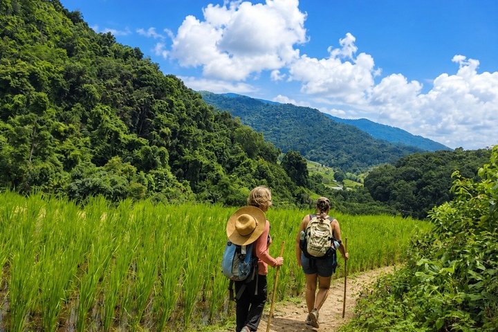 3-in-1: Doi Inthanon Tour, Elephant Sanctuary, and Trekking Trail