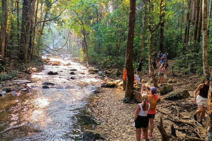 3-in-1: Doi Inthanon Tour, Elephant Sanctuary, and Trekking Trail