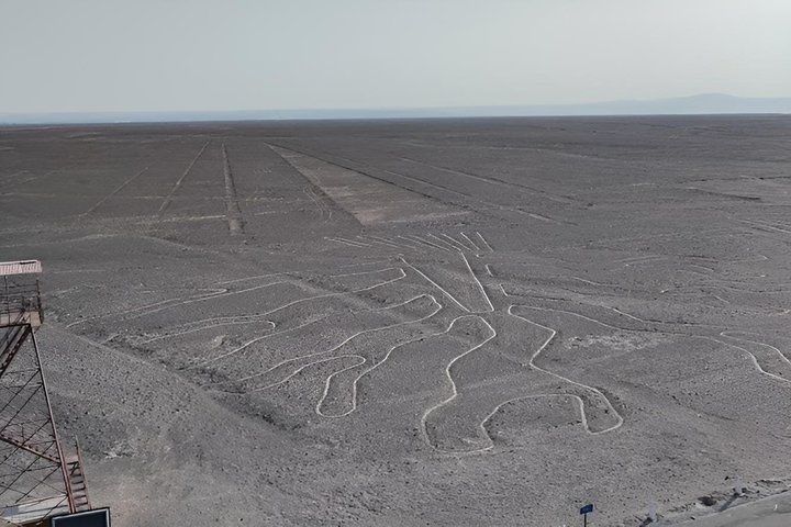 Private Transportation from Huacachina to Nasca