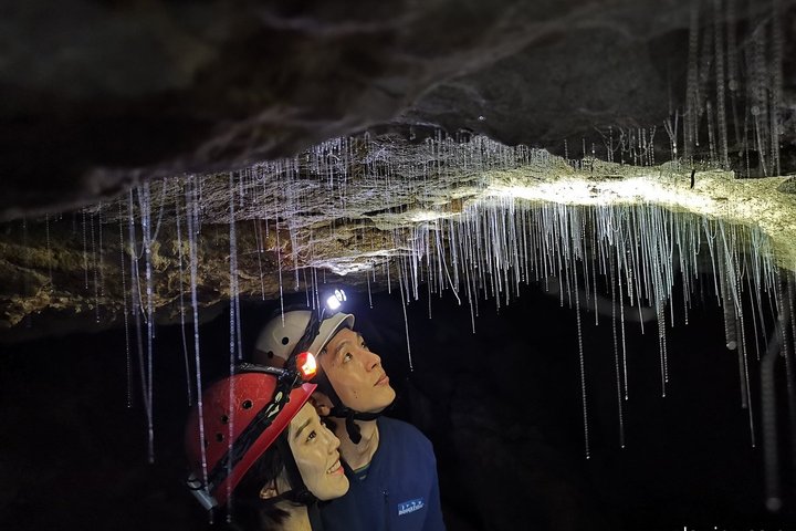 Waitomo’s Hidden Gem: Off the Beaten Track Glowworm Cave Tour