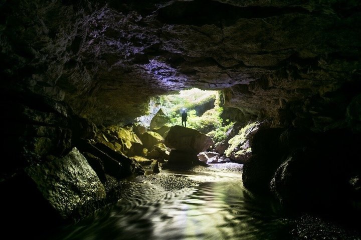 Waitomo’s Hidden Gem: Off the Beaten Track Glowworm Cave Tour
