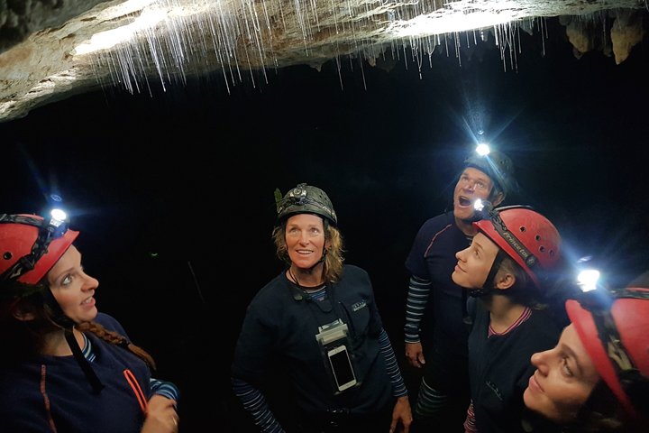 Waitomo’s Hidden Gem: Off the Beaten Track Glowworm Cave Tour