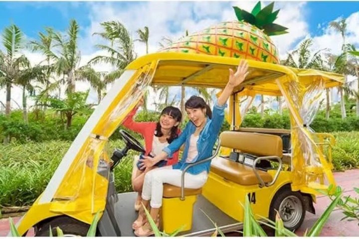 Okinawa HIP-HOP BUS A Course Tour | Churaumi Aqualium,Kori Island
