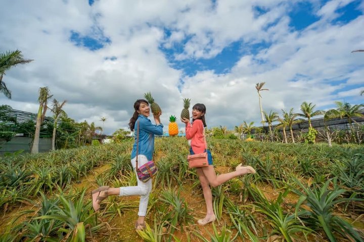 Okinawa HIP-HOP BUS A Course Tour | Churaumi Aqualium,Kori Island