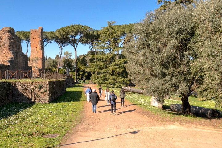 Colosseum & Forum with Optional Arena or Underground Access