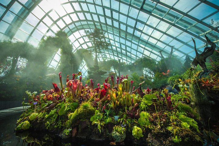 Gardens by the Bay Admission Ticket with OCBC Skyway