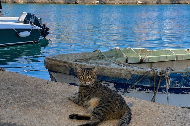 Zadar: 3 Island Hopping Tour With Snorkeling or Sunset Swim Tour