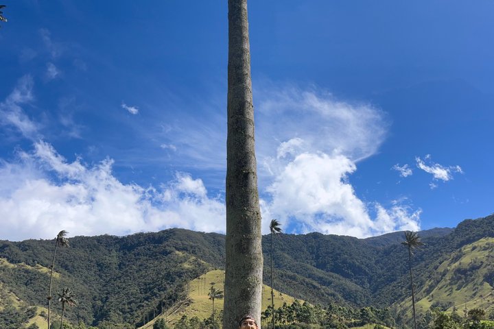 Cocora, Salento and Filandia Tour