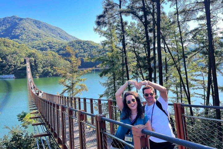 DMZ Tour: Defector Q&A, Tunnel & Suspension Bridge /Hotel pick up