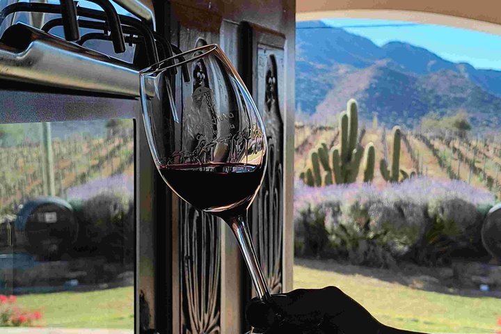 CAFAYATE Wine Tour Wine Trails Winery Visit