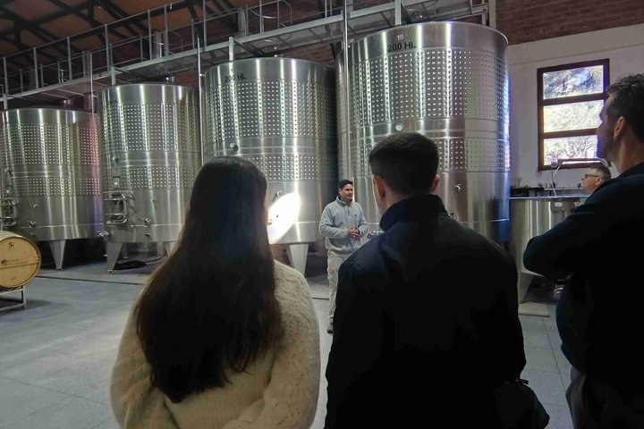 CAFAYATE Wine Tour Wine Trails Winery Visit