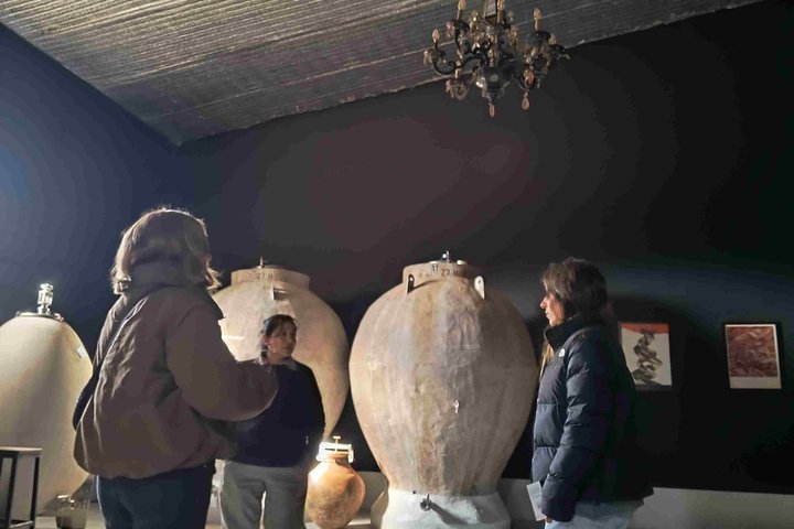 CAFAYATE Wine Tour Wine Trails Winery Visit
