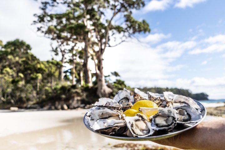 All Inclusive Bruny Island Day Tour Plus Guided Lighthouse Tour