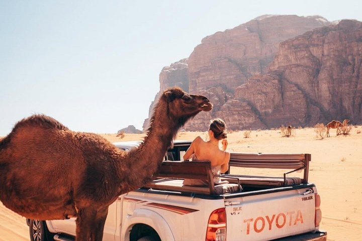 Petra and Wadi Rum Private Guided Tour