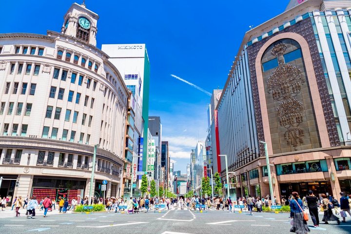Tokyo Private Custom Tour by Car with Local Guide
