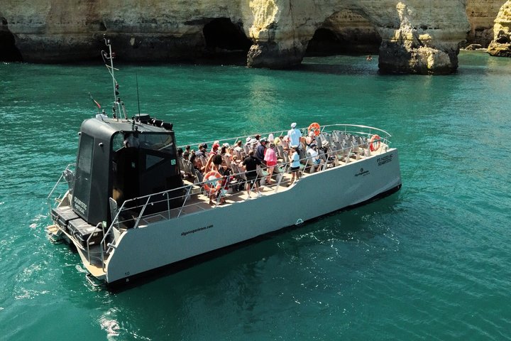 Albufeira: Dolphins & Benagil Caves with Marine Biologist
