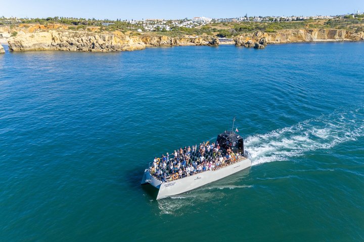 Albufeira: Dolphins & Benagil Caves with Marine Biologist