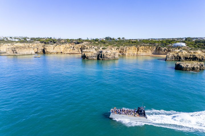 Albufeira: Dolphins & Benagil Caves with Marine Biologist