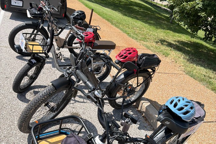 Forest Park E-Bike Tour with Optional Saint Louis Zoo Visit