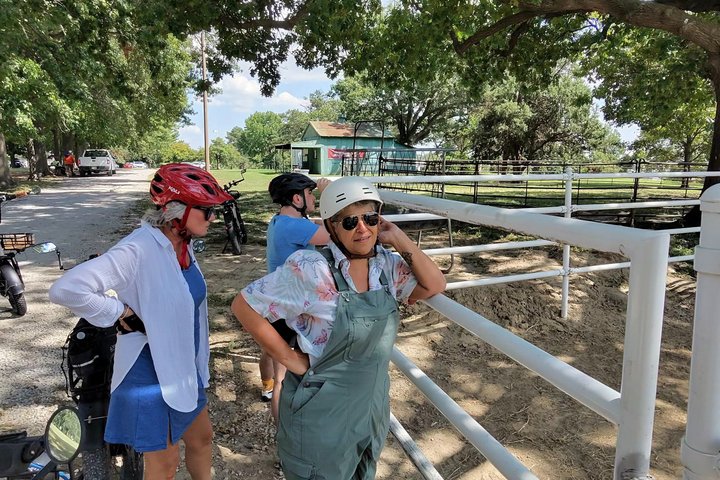 Forest Park E-Bike Tour with Optional Saint Louis Zoo Visit