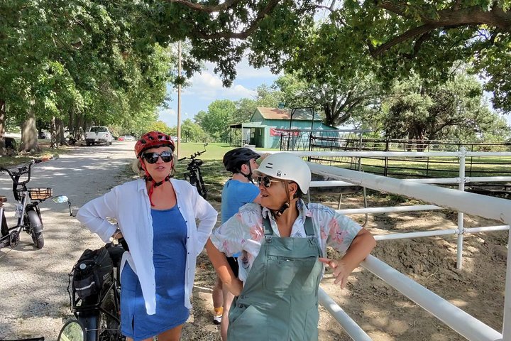 Forest Park E-Bike Tour with Optional Saint Louis Zoo Visit