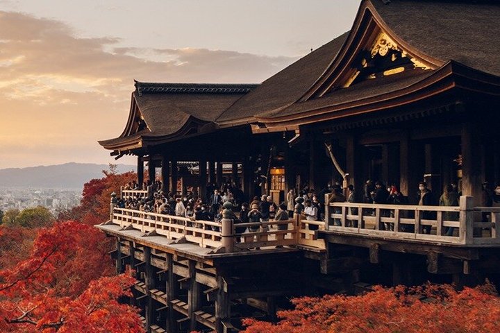 Kyoto Private Car Tour – Full Day with Local Guide & Nara Option