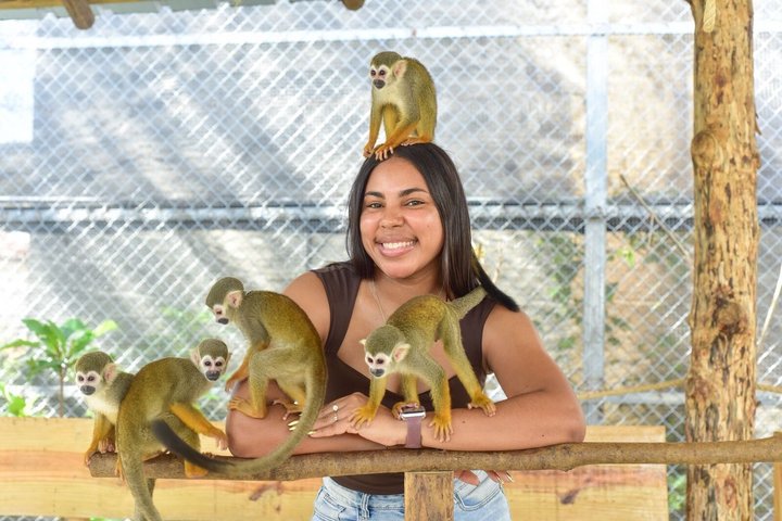 Monkey Park Tour and Damajagua waterfalls in Puerto Plata.