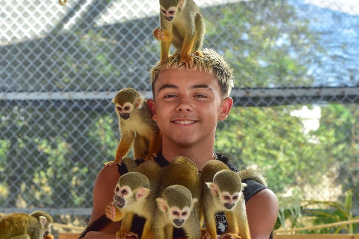 Monkey Park Tour and Damajagua waterfalls in Puerto Plata.
