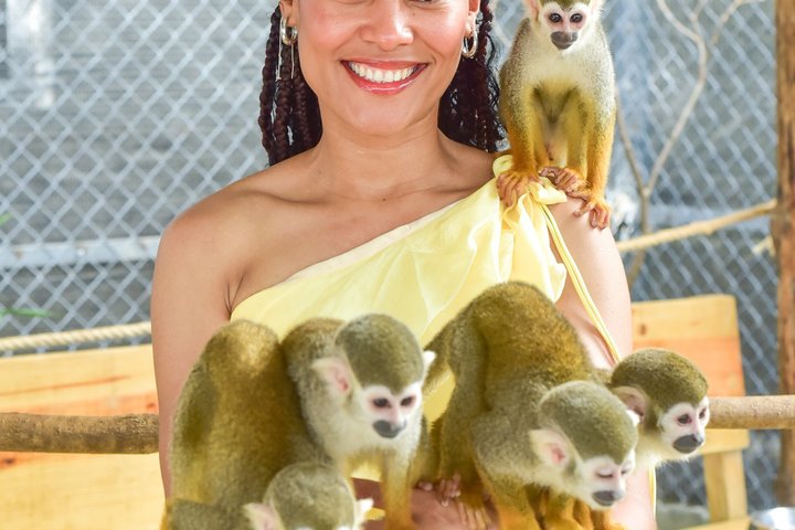 Monkey Park Tour and Damajagua waterfalls in Puerto Plata.