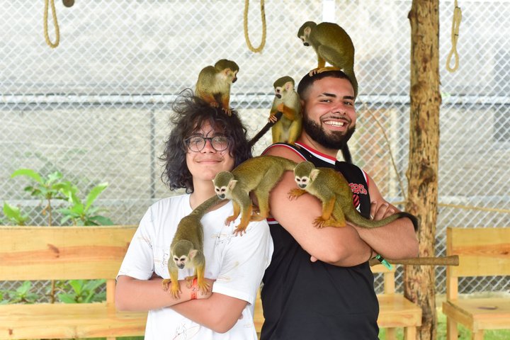 Monkey Park Tour and Damajagua waterfalls in Puerto Plata.