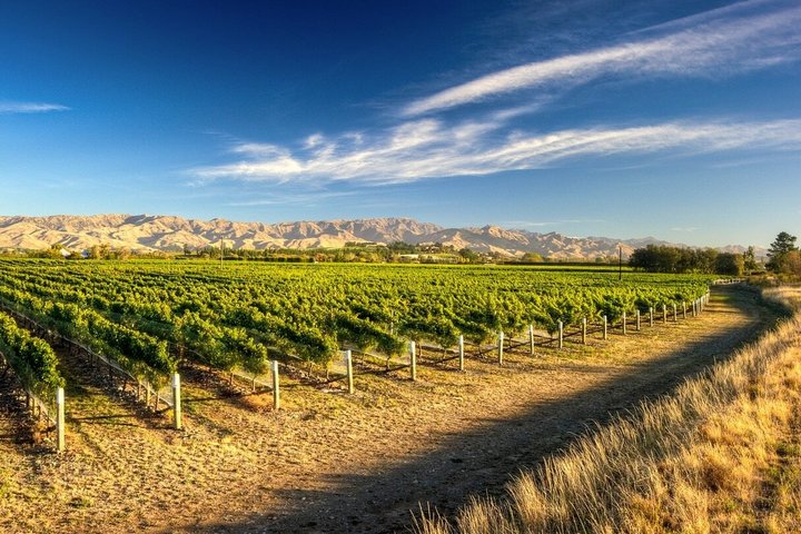 Day of Wine