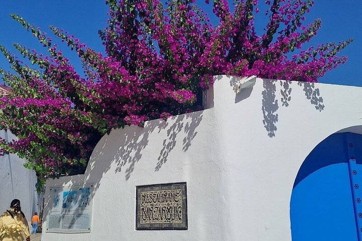 Tunis,Carthage&Sidi Bou Said:Premium Private Day Tour with Pickup
