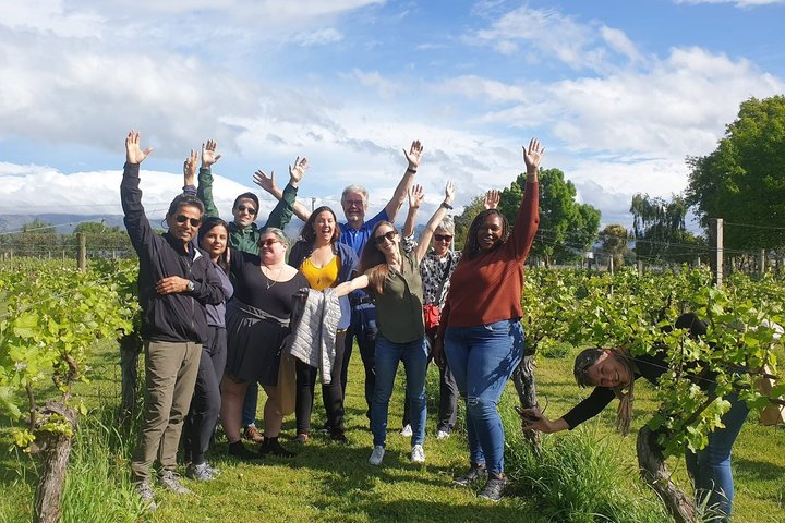 Half-Day Marlborough Wine Tour & Beer Tour