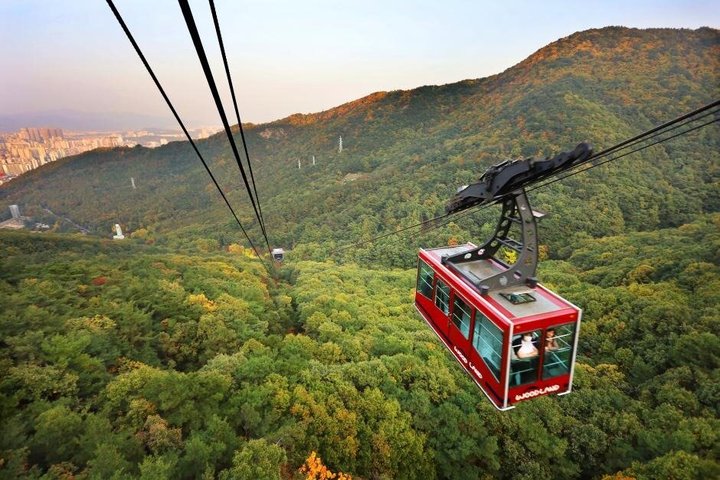 Daegu's Top Attractions on a private tour with a Licensed guide