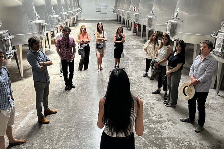 Wine Tour, Paired Lunch and Olive Oil Tasting from Mendoza