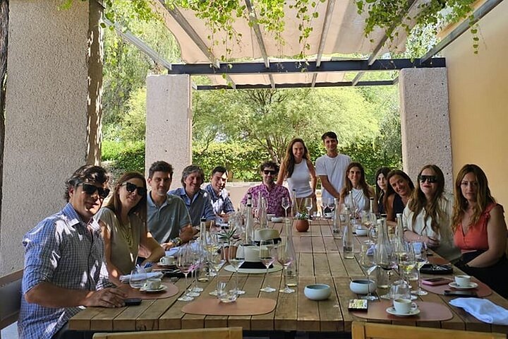 Wine Tour, Paired Lunch and Olive Oil Tasting from Mendoza