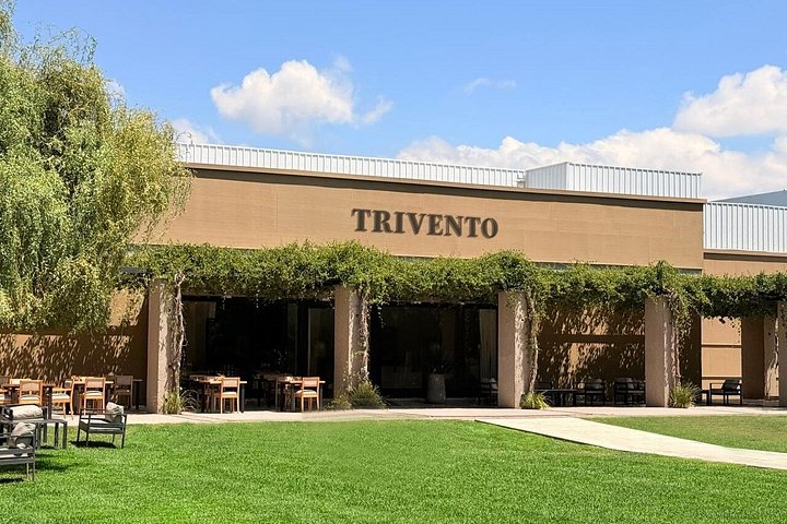 Wine Tour, Paired Lunch and Olive Oil Tasting from Mendoza