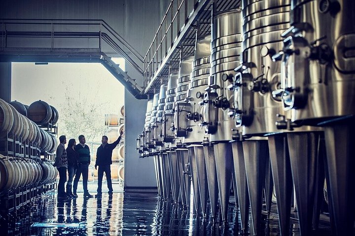 Wine Tour, Paired Lunch and Olive Oil Tasting from Mendoza