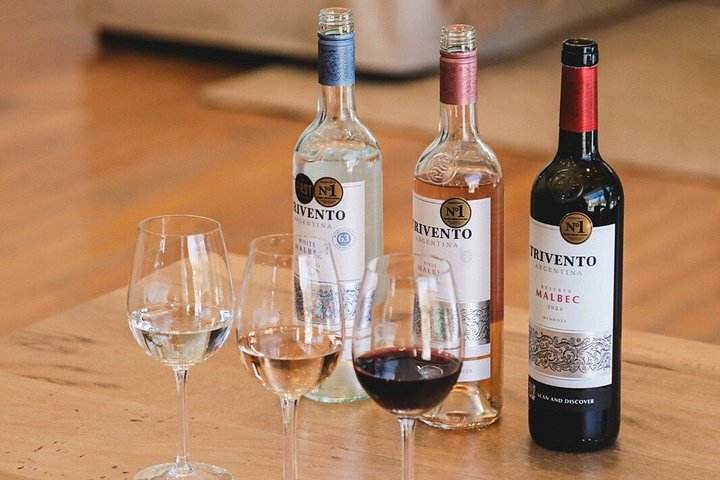 Wine Tour, Paired Lunch and Olive Oil Tasting from Mendoza