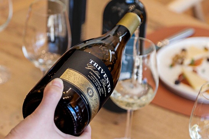 Wine Tour, Paired Lunch and Olive Oil Tasting from Mendoza