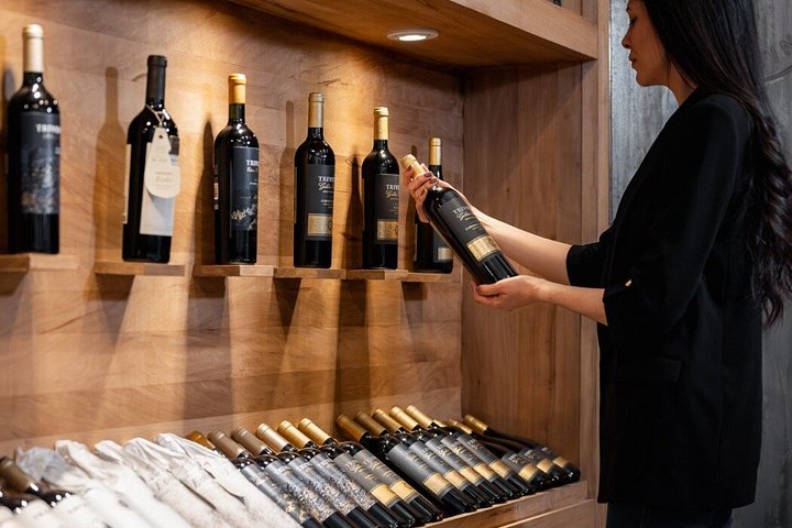Wine Tour, Paired Lunch and Olive Oil Tasting from Mendoza