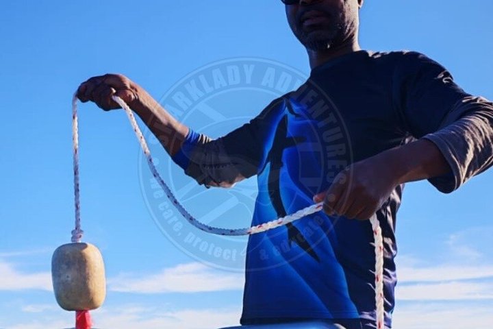 Shark Cage Diving with complimentary air in cage from Gansbaai