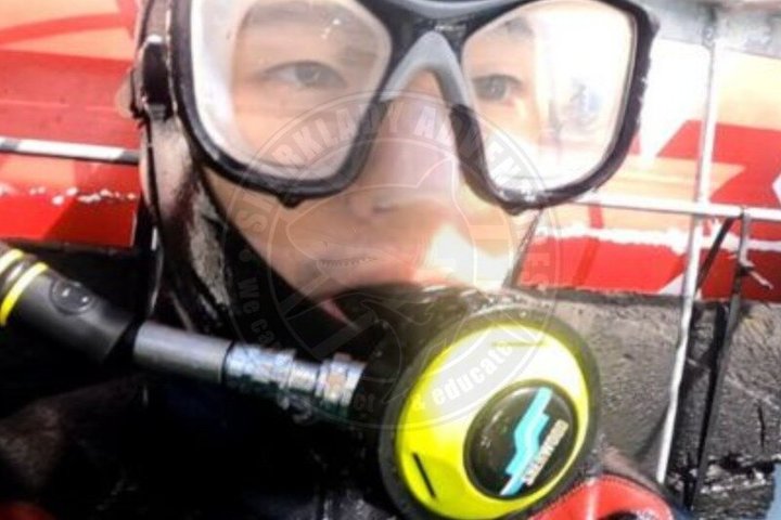 Shark Cage Diving with complimentary air in cage from Gansbaai