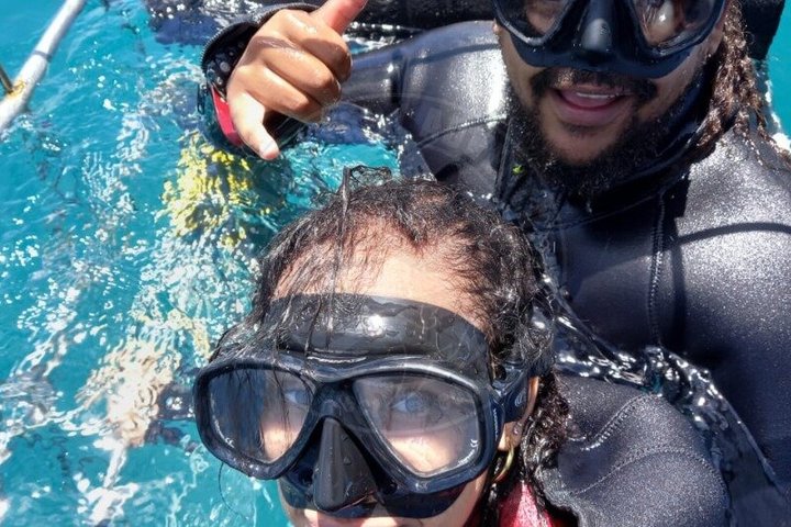 Shark Cage Diving with complimentary air in cage from Gansbaai