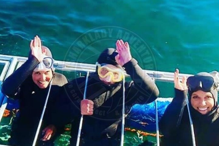 Shark Cage Diving with complimentary air in cage from Gansbaai