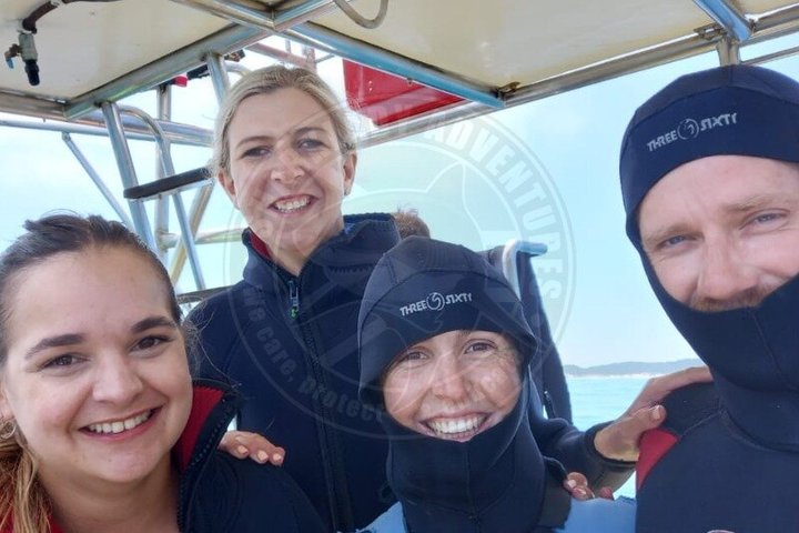 Shark Cage Diving with complimentary air in cage from Gansbaai